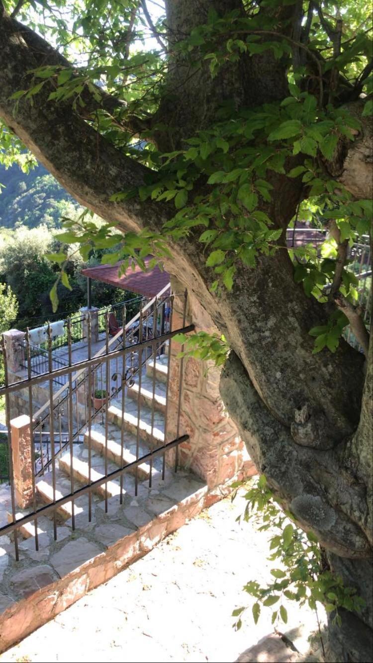 Holiday Home La Musica Budva Rum bild